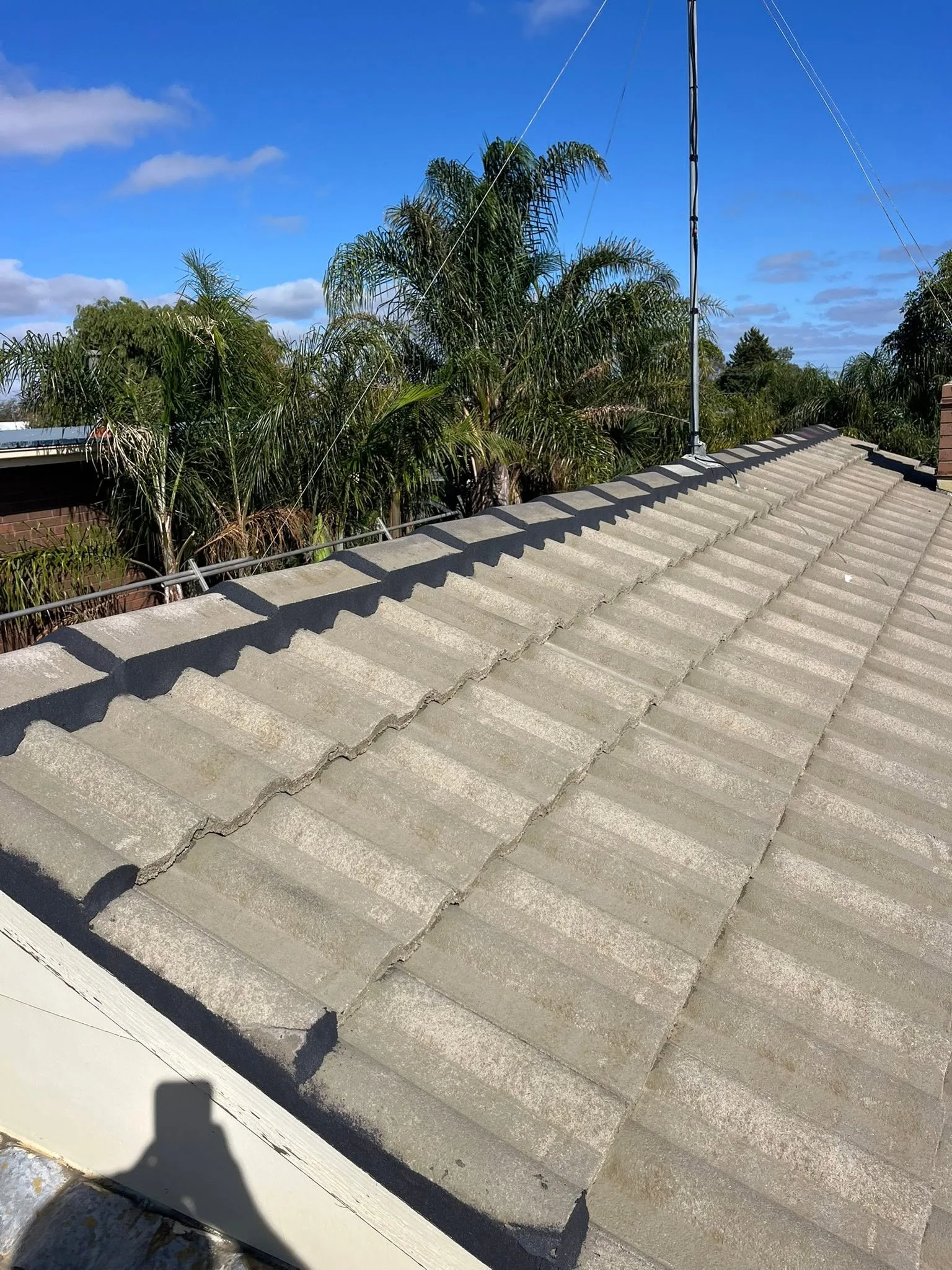 Rooftop view along a weathered concrete tile roof ridge line before repointing, with palm trees and a TV antenna in view